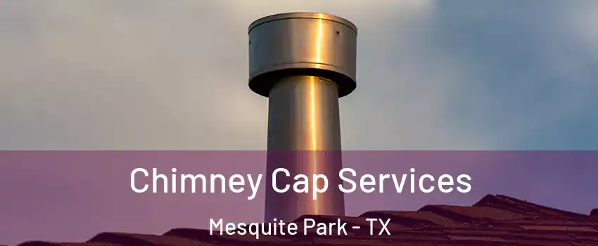 Chimney Cap Services Mesquite Park - TX