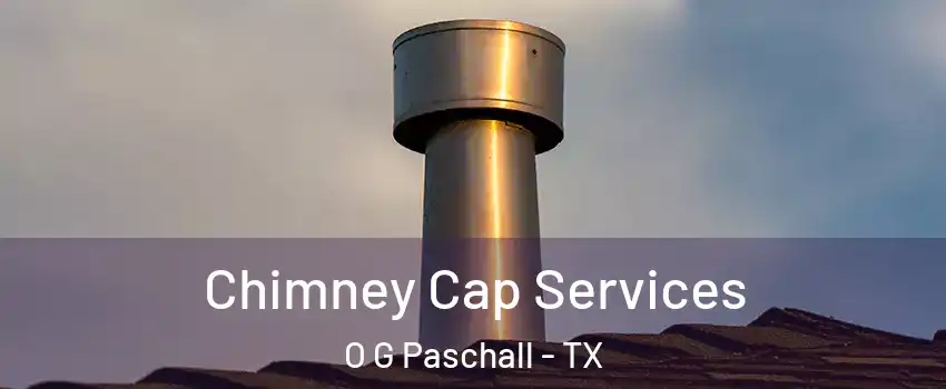 Chimney Cap Services O G Paschall - TX
