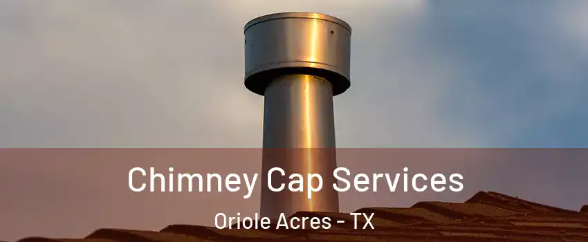 Chimney Cap Services Oriole Acres - TX