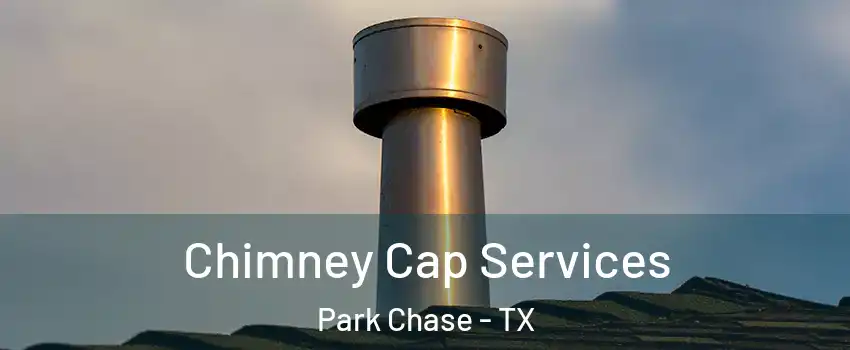 Chimney Cap Services Park Chase - TX