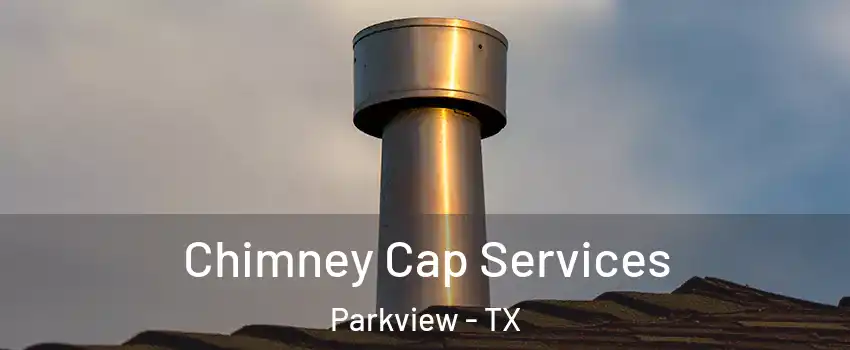 Chimney Cap Services Parkview - TX