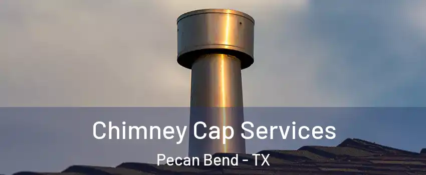 Chimney Cap Services Pecan Bend - TX