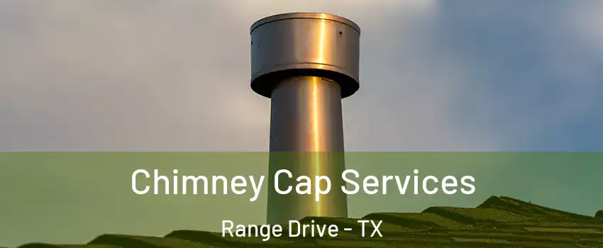 Chimney Cap Services Range Drive - TX