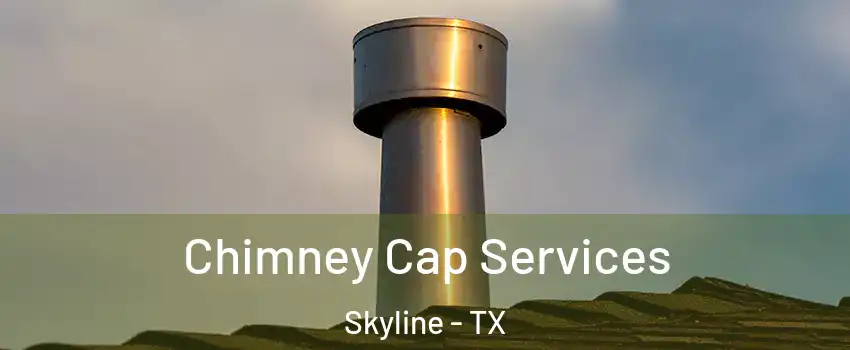 Chimney Cap Services Skyline - TX