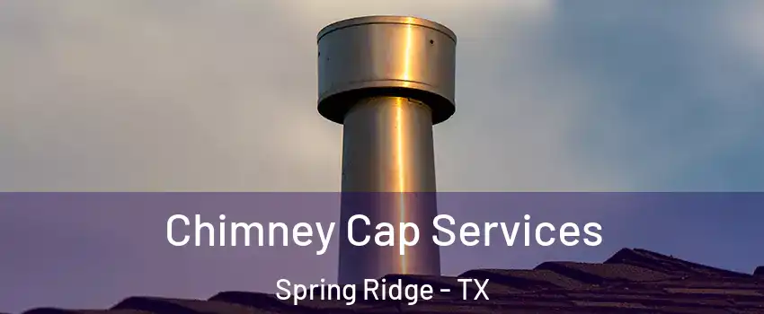 Chimney Cap Services Spring Ridge - TX