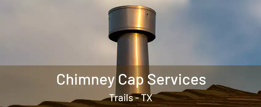 Chimney Cap Services Trails - TX