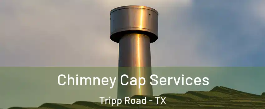 Chimney Cap Services Tripp Road - TX
