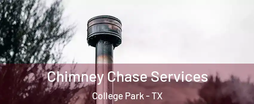 Chimney Chase Services College Park - TX