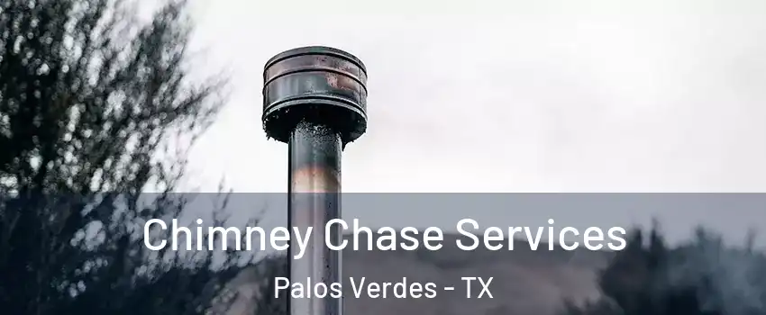 Chimney Chase Services Palos Verdes - TX