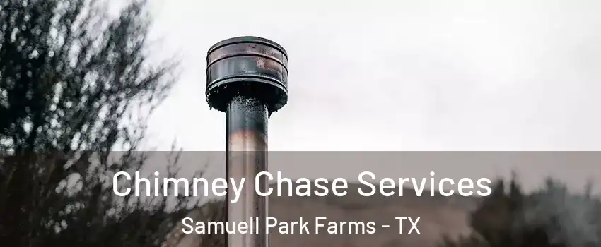 Chimney Chase Services Samuell Park Farms - TX