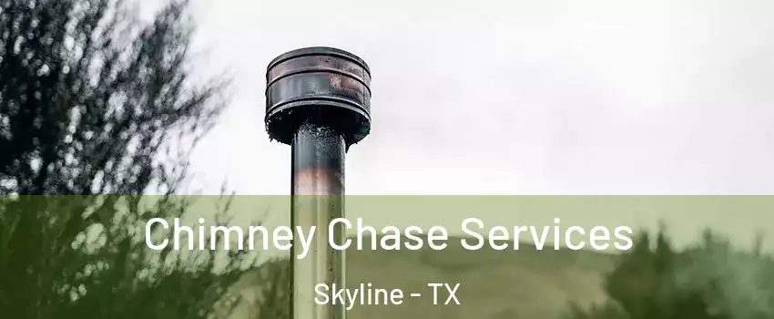 Chimney Chase Services Skyline - TX