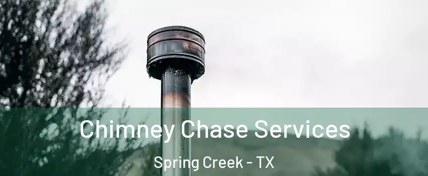 Chimney Chase Services Spring Creek - TX