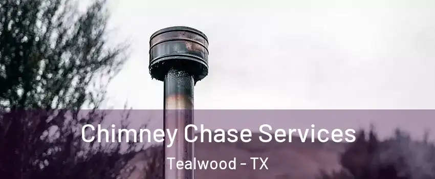 Chimney Chase Services Tealwood - TX