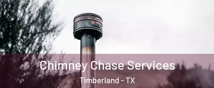 Chimney Chase Services Timberland - TX