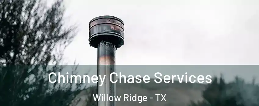 Chimney Chase Services Willow Ridge - TX