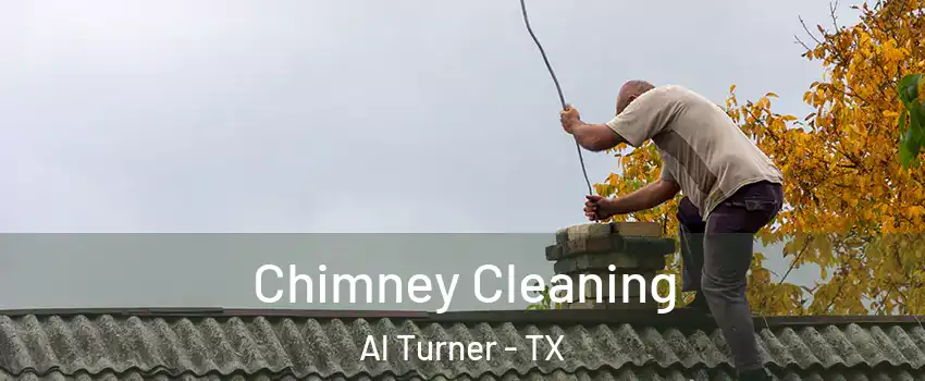 Chimney Cleaning Al Turner - TX