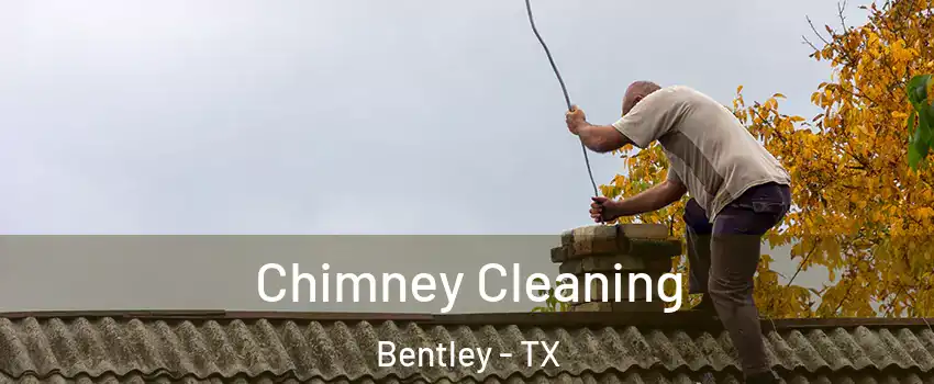 Chimney Cleaning Bentley - TX