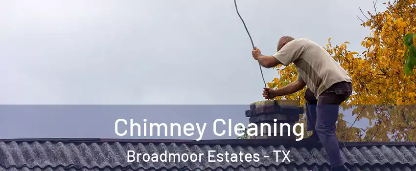 Chimney Cleaning Broadmoor Estates - TX