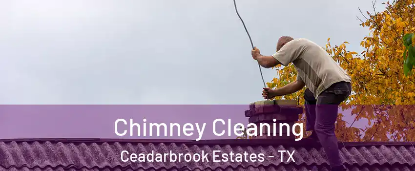 Chimney Cleaning Ceadarbrook Estates - TX