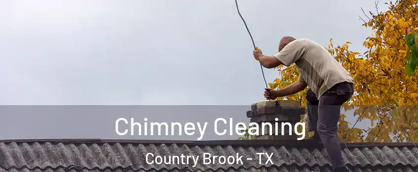 Chimney Cleaning Country Brook - TX