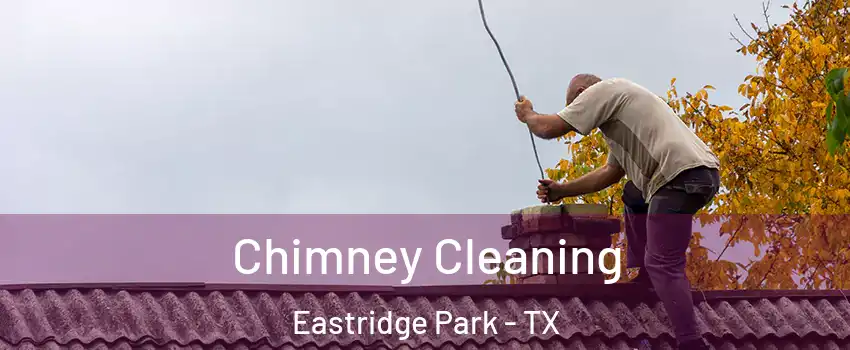 Chimney Cleaning Eastridge Park - TX