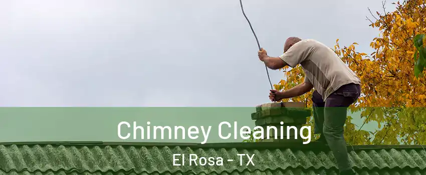 Chimney Cleaning El Rosa - TX