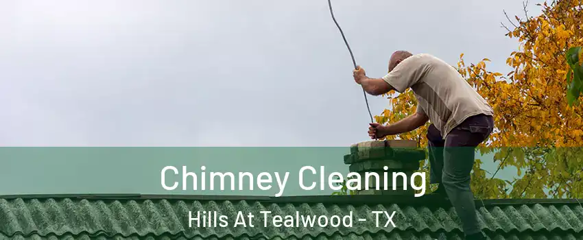 Chimney Cleaning Hills At Tealwood - TX