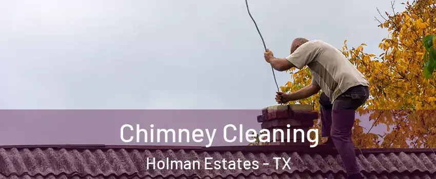 Chimney Cleaning Holman Estates - TX
