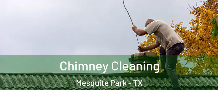Chimney Cleaning Mesquite Park - TX