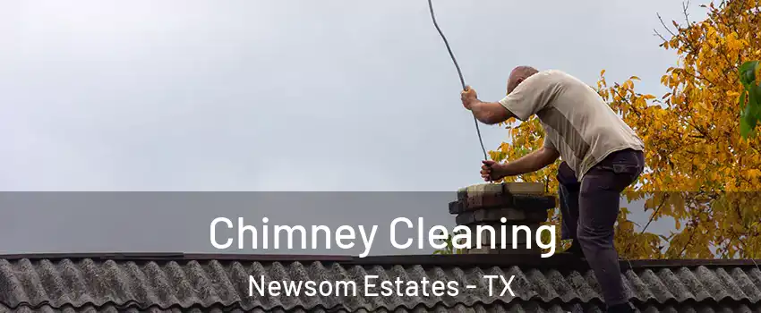 Chimney Cleaning Newsom Estates - TX