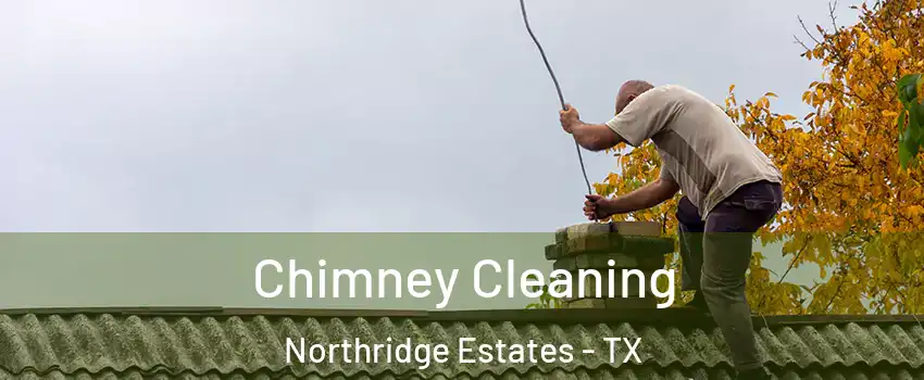 Chimney Cleaning Northridge Estates - TX