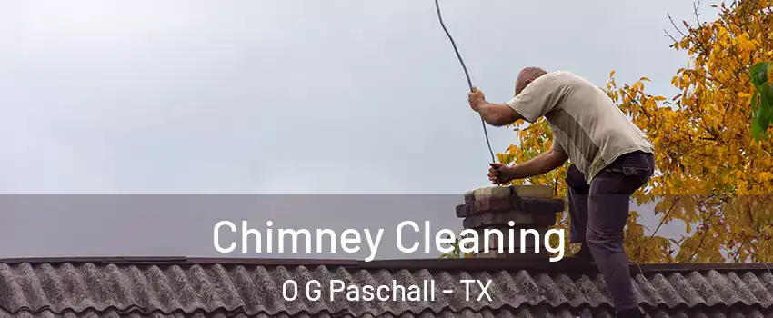 Chimney Cleaning O G Paschall - TX
