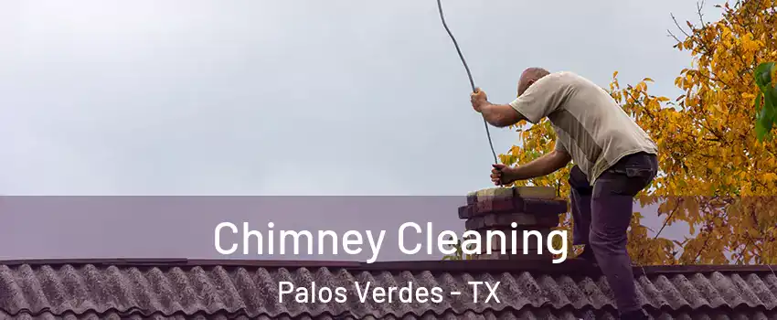 Chimney Cleaning Palos Verdes - TX