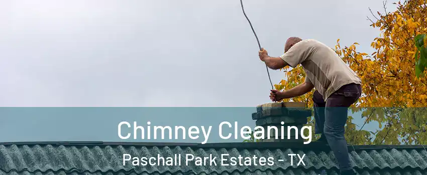 Chimney Cleaning Paschall Park Estates - TX