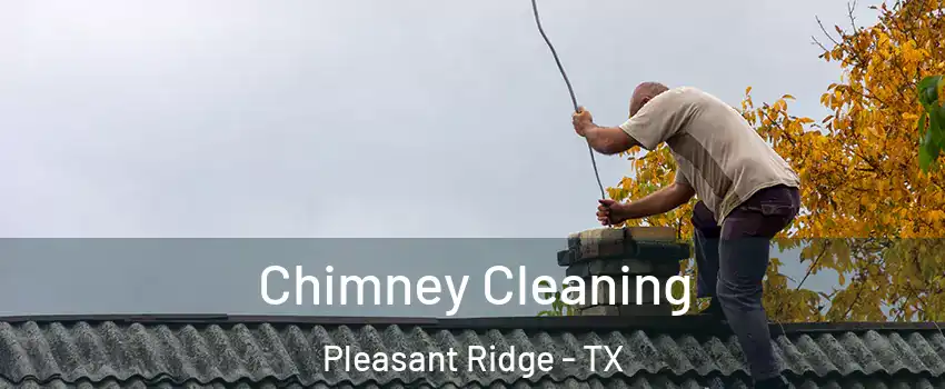 Chimney Cleaning Pleasant Ridge - TX
