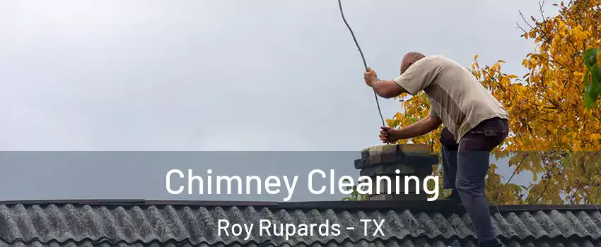 Chimney Cleaning Roy Rupards - TX