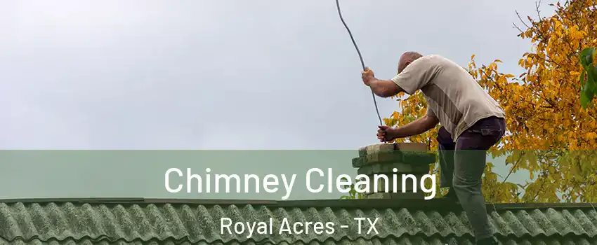 Chimney Cleaning Royal Acres - TX
