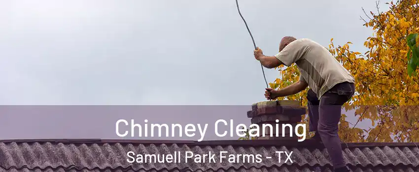 Chimney Cleaning Samuell Park Farms - TX
