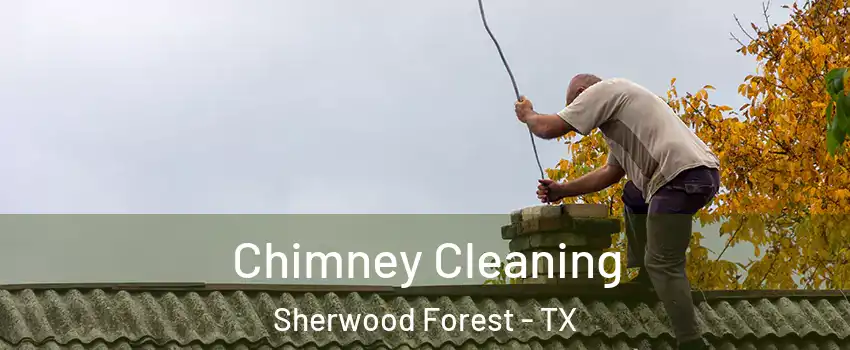 Chimney Cleaning Sherwood Forest - TX