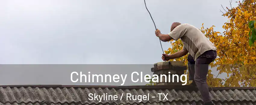 Chimney Cleaning Skyline / Rugel - TX