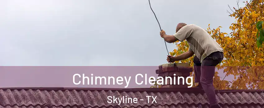 Chimney Cleaning Skyline - TX