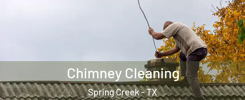 Chimney Cleaning Spring Creek - TX