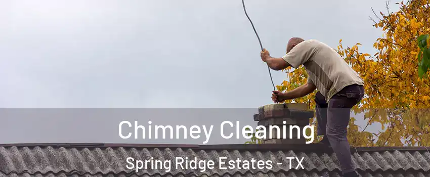 Chimney Cleaning Spring Ridge Estates - TX