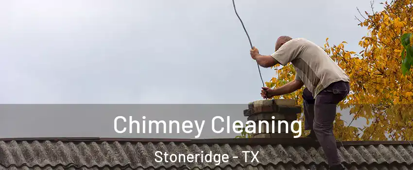 Chimney Cleaning Stoneridge - TX