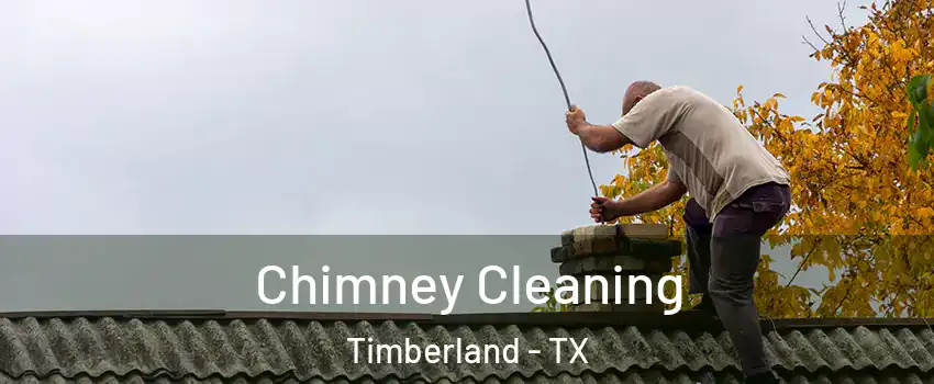 Chimney Cleaning Timberland - TX