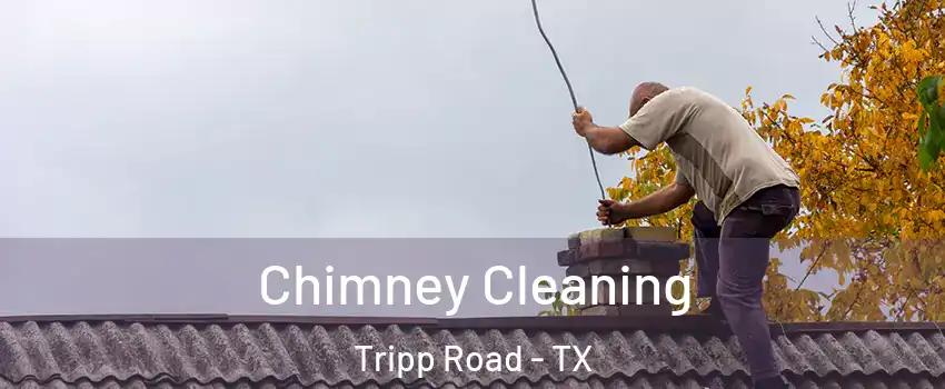 Chimney Cleaning Tripp Road - TX