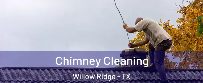 Chimney Cleaning Willow Ridge - TX