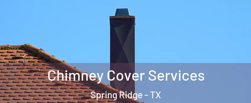 Chimney Cover Services Spring Ridge - TX