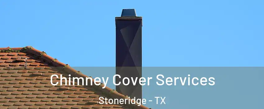 Chimney Cover Services Stoneridge - TX