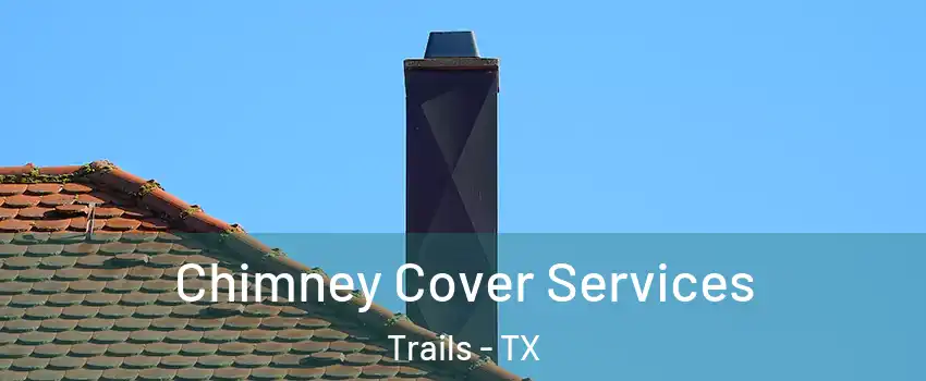 Chimney Cover Services Trails - TX